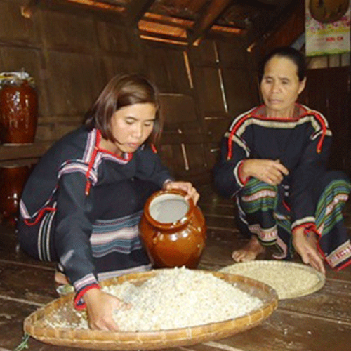 Làng Nghề Rượu Cần Lâm Đồng